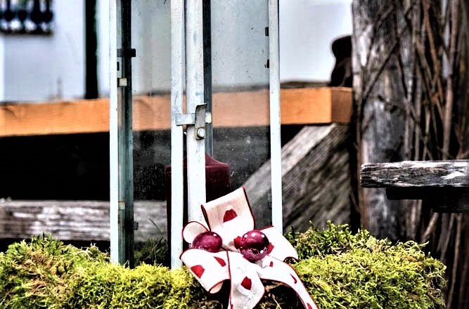 Winter decoration, © Gluschitz-Goebel Lantern decorated with moss and ribbon.