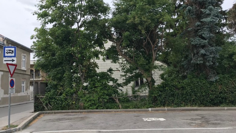 Camping pitch, © Birgit Rada-Tomasin Parking lot with motorhome symbol and trees in the background.