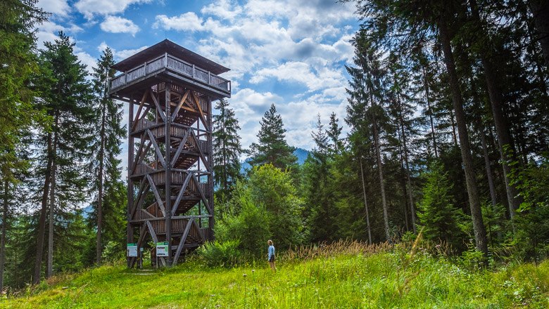 Der Aussichtsturm beim Themenweg Werkstatt, © Wiener Alpen, Christian Kremsl Ein hölzerner Aussichtsturm steht in einem Waldgebiet, umgeben von hohen Bäumen und einer Wiese. Eine Person steht in der Nähe des Turms.