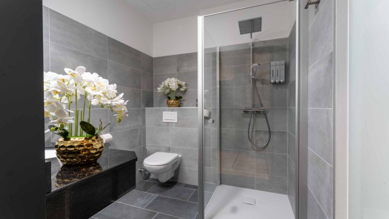Double room, © Plaza INN Modern bathroom with gray tiles, shower, toilet and orchids in golden vases.