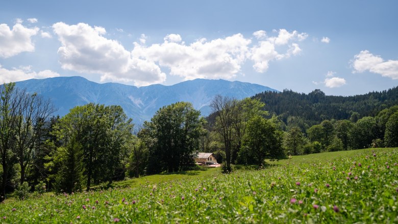 Schneeberg, © Claudia Schlager Grüne Wiese mit Bäumen und einem Haus im Vordergrund, dahinter Berge unter blauem Himmel mit Wolken.