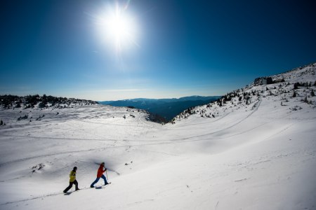 Schneeschuhwandern auf dem Raxplateau, © Wiener Alpen, Claudia Ziegler Schneeschuhwandern auf dem Raxplateau, © Wiener Alpen, Claudia Ziegler