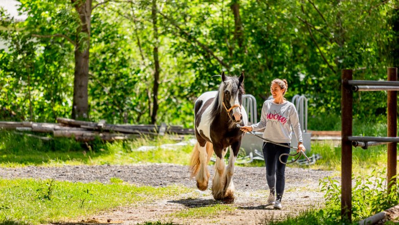 Pferdewelt Reichenau, © Wiener Alpen / Christian Kremsl Eine Frau führt ein schwarz-weißes Pferd an einem Halfter durch einen sonnigen Waldweg.