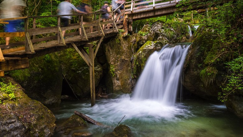 Muggendorf Myrafälle, © Wiener Alpen, Christian Kremsl Holzbrücke über Wasserfall in bewaldeter Umgebung.