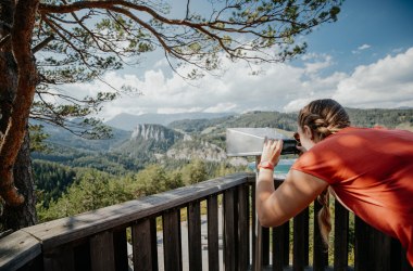 20-Schilling-Blick , © Nicole Seiser 20-Schilling-Blick , © Nicole Seiser