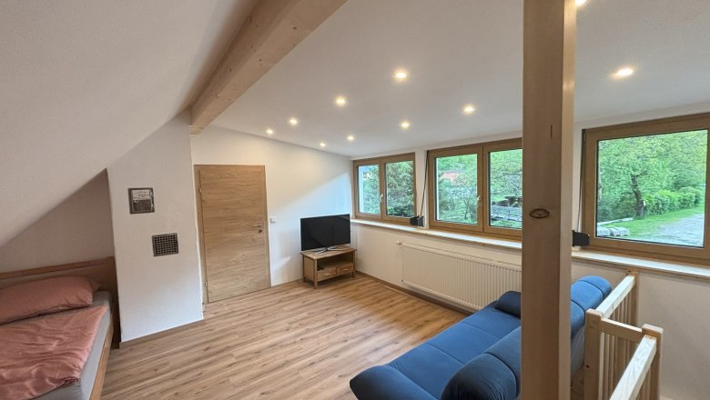 Diele offen mit zwei Schlafplätzen, © Michael Hofer Offener Raum mit Holzboden, Bett, Sofa und Fernseher, große Fenster mit Blick ins Grüne.