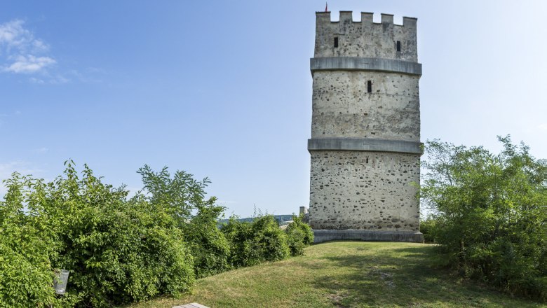 Feuerturm der Burgruine Kirchschlag, © Wiener Alpen, Franz Zwickl Feuerturm der Burgruine Kirchschlag mit Picknicktisch im Vordergrund.