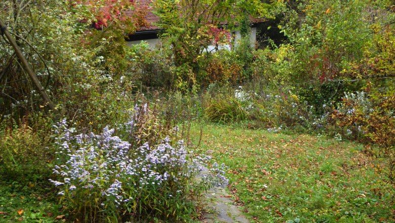 Herbst im Schaugarten, © Elke Guttmann Ein herbstlicher Garten mit buntem Laub und blühenden Blumen.