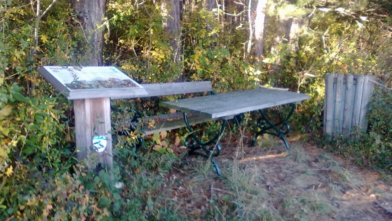 idyllisches Platzerl, © Reep Holztisch und Bank in einem Wald mit Infotafel und Mülleimer.