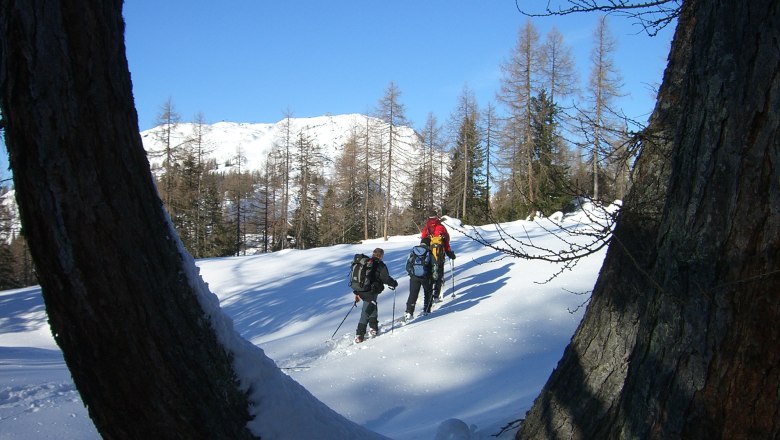 Rax Schneeschuhwandern, © Wolfgang Menzel Zwei Personen wandern im Schnee zwischen Bäumen in einer Berglandschaft.