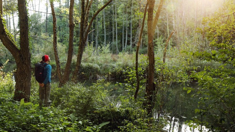 Schlangenteiche, © Weinfranz Eine Person mit roter Mütze und Rucksack steht in einem Wald und blickt auf einen kleinen Teich. Sonnenlicht scheint durch die Bäume.