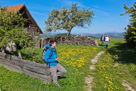 Wandern in der Bucklige Welt, © Wiener Alpen, Franz Zwickl