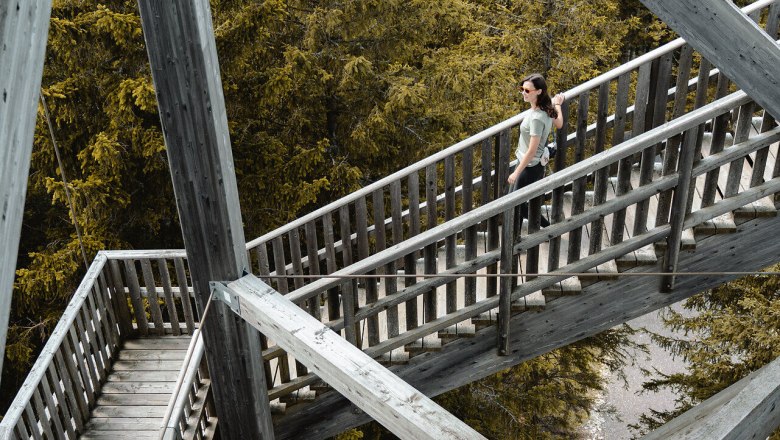 Come to LA Lower Austria, Hirschenkogel, Milleniumswarte, Wiener Alpen in Niederösterreich, © Niederösterreich Werbung/Lukas Matocha Die Holztreppen schlängeln sich durch die majestätischen Bäume und bieten atemberaubende Ausblicke auf die umliegenden Berge. Hier, inmitten der Natur, spürt man die frische Bergluft und die Ruhe, die nur die Alpen bieten können.