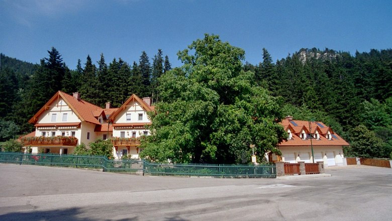 Haus Lenz, © Haus Lenz Ein großes Haus mit roten Dächern und Balkonen, umgeben von Bäumen und einem Wald im Hintergrund.