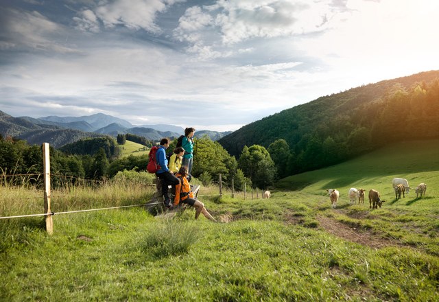 Hiking in the Piestingtal, © Wiener Alpen/Florian Lierzer Hiking in the Piestingtal, © Wiener Alpen/Florian Lierzer