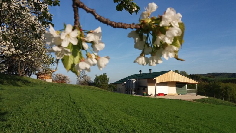 Turkey stable, © Biohof Puchegger A modern turkey shed on a green meadow, surrounded by blossoming trees under a blue sky.
