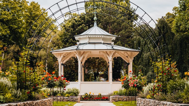 Stadtpark Wiener Neustadt, © Busy Shutters Weißer Pavillon hinter Rosenbogen