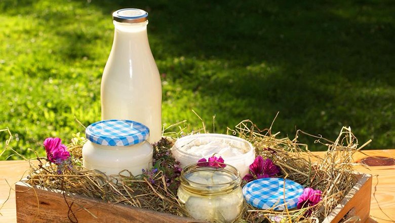 Dairy products, © Familie Winkler A bottle of milk and glasses of dairy products on hay in a wooden box, decorated with flowers.