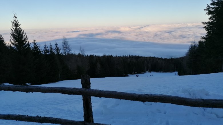 View, © Wiener Alpen Klikovics Winter landscape with snow-covered slope, wooden fence in the foreground and sea of clouds in the background.