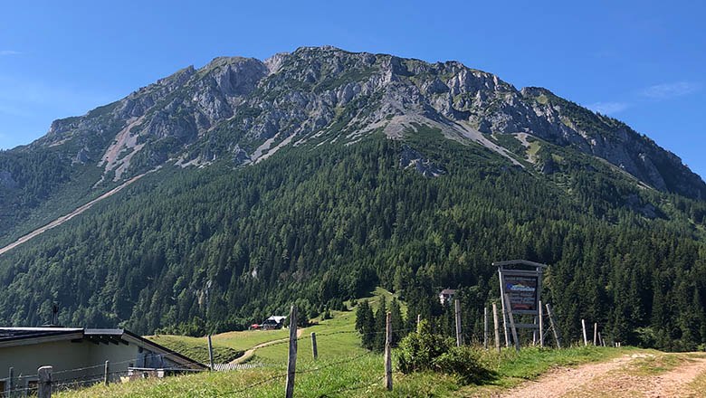View from the Almreserlhaus, © Angelika Burger View of a mountain with a green forest and rocky peak under a blue sky.