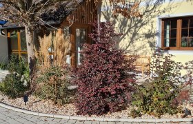 Ferienhaus zur alten Gärtnerei, © Tauchner Gartenansicht eines Ferienhauses mit Pflanzen und Bäumen vor gelber Fassade.