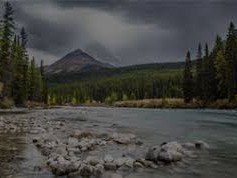 Fischerei Mariensee, © Fischerei Mariensee Fischerei Mariensee, © Fischerei Mariensee