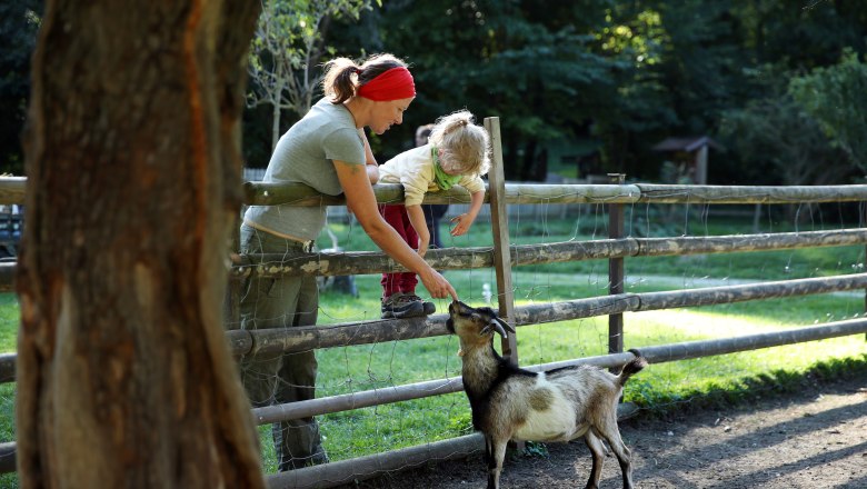 Naturparkzentrum Sieding, © Weinfranz Eine Frau und ein Kind füttern eine Ziege über einen Holzzaun in einem Naturpark.