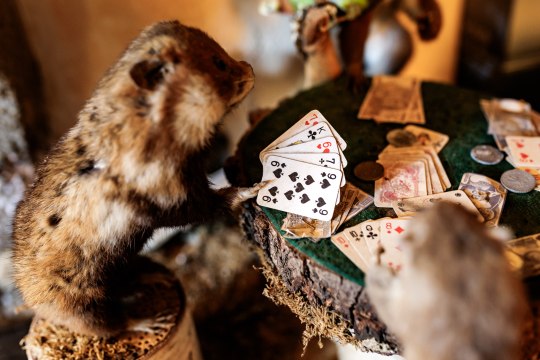 Ungezwungene Natürlichkeit trifft auf den rauen Charme der schottischen Highlands, © Wiener Alpen/Kremsl Ungezwungene Natürlichkeit trifft auf den rauen Charme der schottischen Highlands, © Wiener Alpen/Kremsl