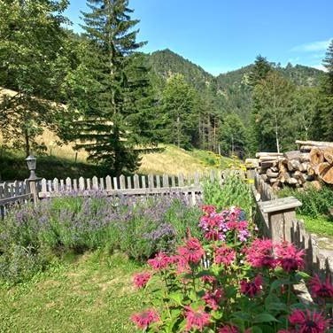 Garten, © Manuela Heher Garten, © Manuela Heher