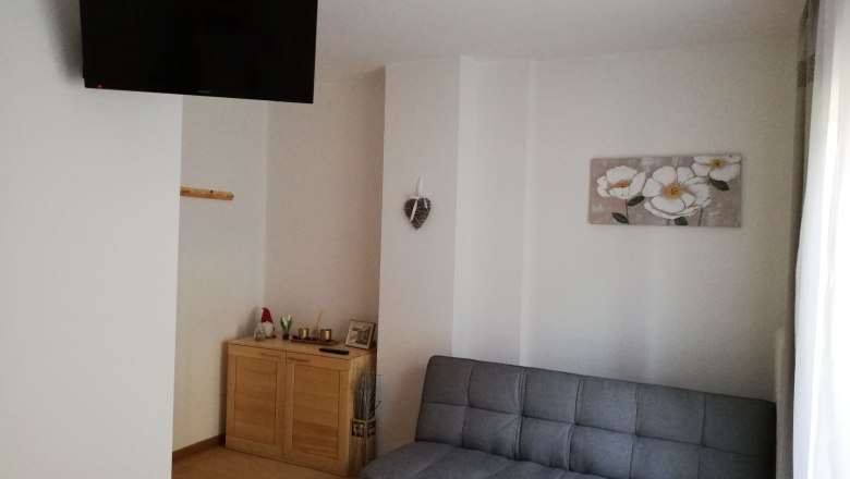 Doppelzimmer mit Ausziehcouch, © Familie Weibels Ein Zimmer mit grauer Ausziehcouch, Wandbild mit Blumen, Fernseher an der Wand und einem kleinen Schrank mit Dekorationen.