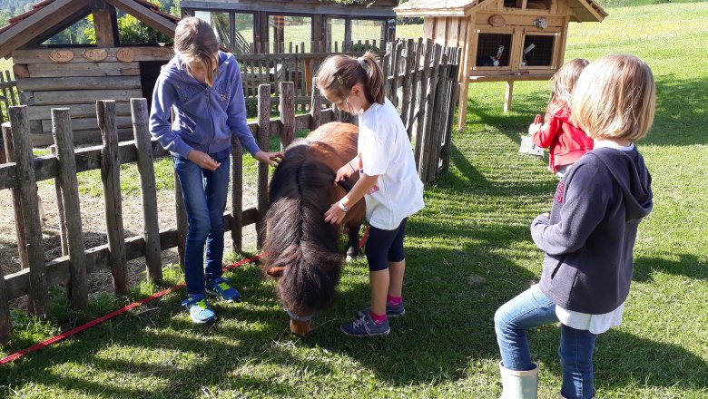 Familienurlaub, © Familie Rosinger Kinder streicheln ein Pony auf einer Wiese neben einem Holzzaun.