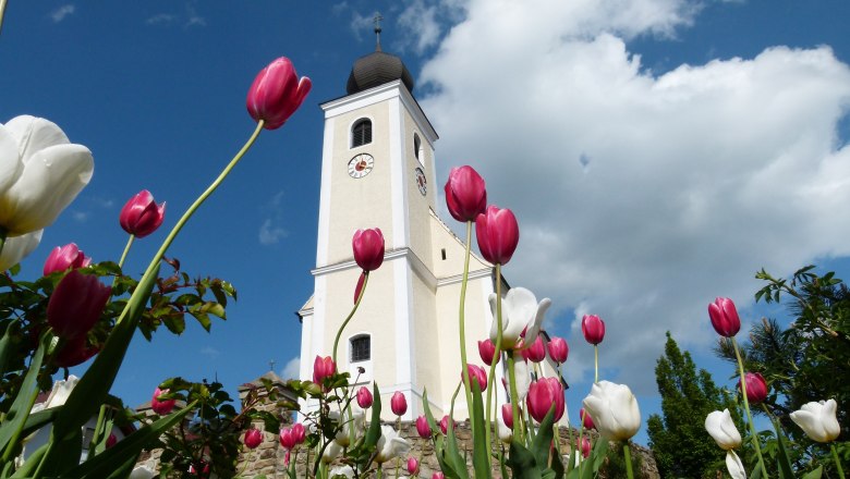 Pfarrkirche Hollenthon, © Karl Gradwohl Pfarrkirche Hollenthon mit Tulpen im Vordergrund.
