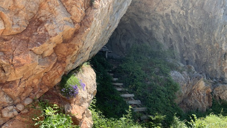 Naturpark Falkenstein, © Tourismusverband Semmering-Rax-Schneeberg Eingang zu einer Höhle mit Felsen und grünen Pflanzen