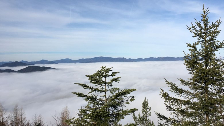 Blick ins Nebelmeer, © Naturpark Hohe Wand Blick über eine Nebeldecke in den Bergen mit Tannen im Vordergrund.