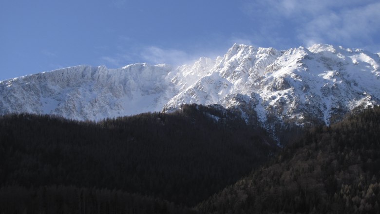 Blick auf den Schneeberg, © Haus Lenz Schneebedeckter Berg mit bewaldetem Vordergrund und blauem Himmel.
