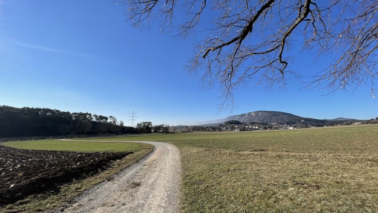 Blickplatz Rotes Kreuz, © Wiener Alpen/Katharina Lechner Landschaft mit Feldweg, Wiese und Berg im Hintergrund.