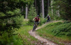 Almrauschtrail by Wexl Trails #8a, © Wexl Trails Almrauschtrail by Wexl Trails #8a, © Wexl Trails