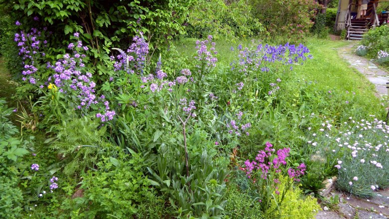 Sommer im Schaugarten, © Elke Guttmann Ein blühender Schaugarten mit lila und rosa Blumen, umgeben von grünem Laub und einem steinigen Pfad.
