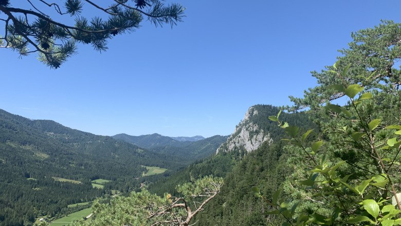 Naturpark Falkenstein, © Tourismusverband Semmering-Rax-Schneeberg Blick auf bewaldete Berge im Naturpark Falkenstein unter blauem Himmel.