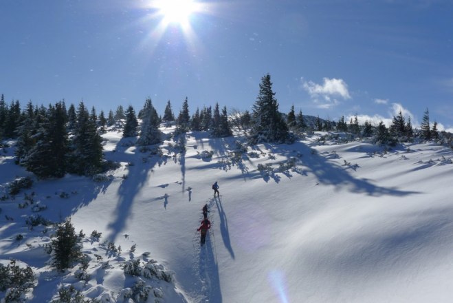 Wolfgang Mahn, © wolfgang menzel Wolfgang Mahn, © wolfgang menzel