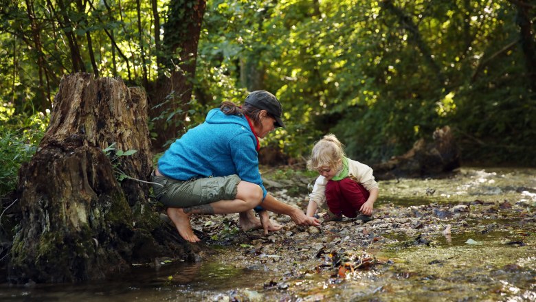 Sierning, © Weinfranz Eine erwachsene Person und ein Kind spielen an einem Bach in einem Wald.