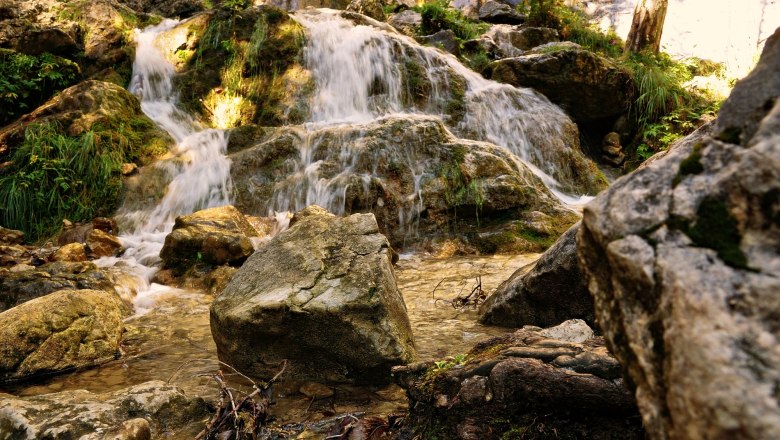 Sebastian waterfall, © Wiener Alpen/Zeleny A small waterfall flows over moss-covered rocks in a forest.