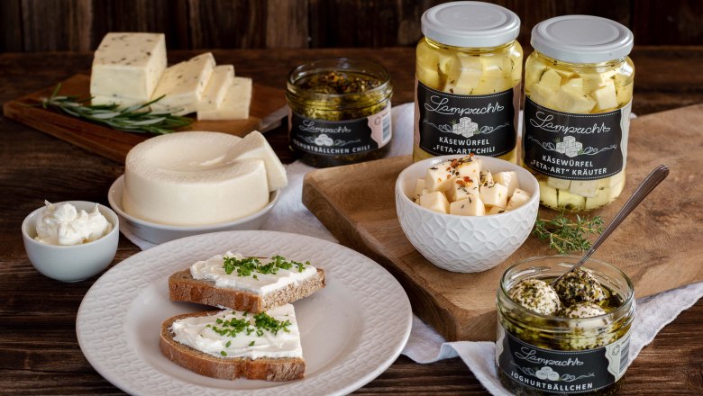 The finest cheeses, © Viktoria Kornfeld Various dairy products in glasses and on plates beautifully arranged with herbs.