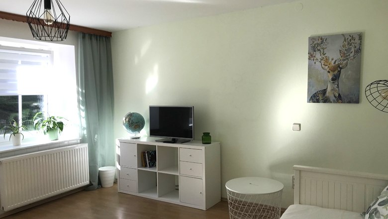 Ferienwohnung, © Familie Krenn Helles Wohnzimmer mit TV, Globus und Pflanzen.