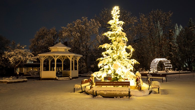 Winterimpressionen, © Michael Weller Verschneiter Baum und Pavillon im Stadtpark