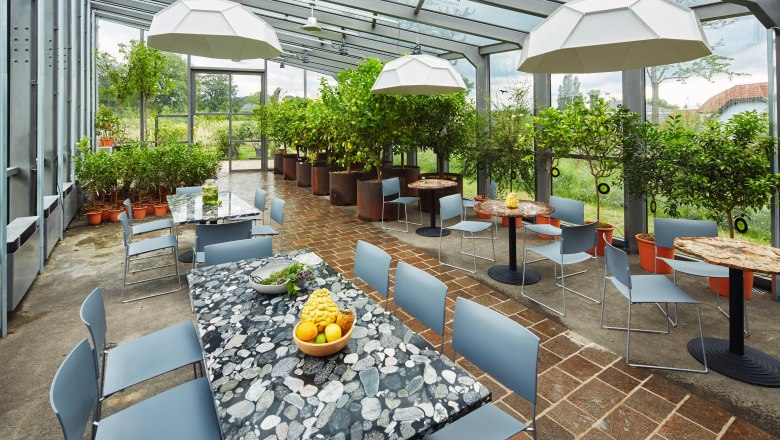 The orangery at Guntrams Estate is ideal for small events, © Herbert Lehmann Interior view of an orangery with tables, chairs and plants.