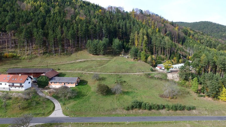 Prigglitz-Gasteil. The drilling rig at the edge of the forest stands on a Bronze Age dump, © Landessammlungen Niederösterreich, UF-22692.895 Landscape with forest, meadows and buildings on the edge of the forest.