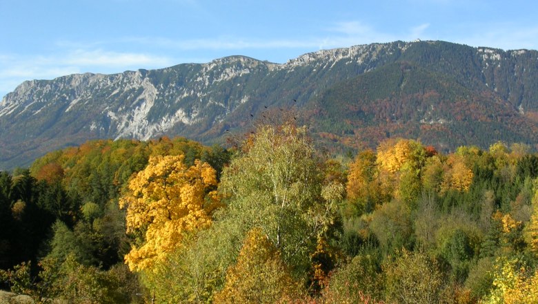 Blick vom Raxblick-Seminarraum, © Daniel Fischer Herbstliche Landschaft mit bunten Bäumen und Berg im Hintergrund.