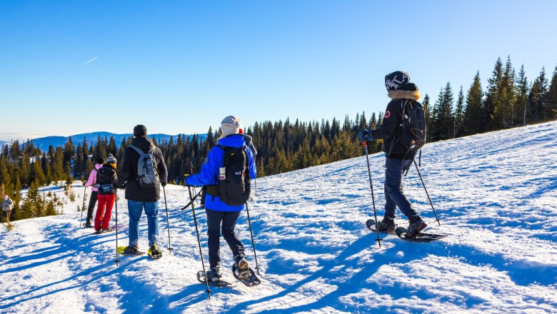 Snowshoeing Rax, © KS Content & Marketing Group of people snowshoeing on a snowy slope with forest in the background.