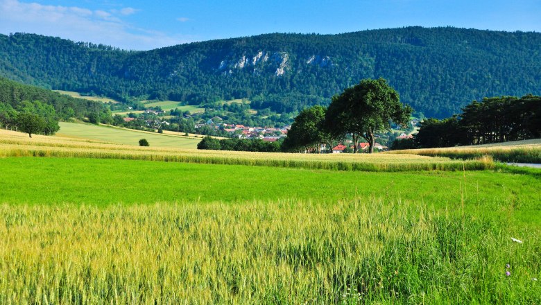 Sommer im Naturpark Sierningtal-Flatzerwand, © Naturparke Niederösterreich/Robert Herbst Grüne Felder und Wälder im Naturpark Sierningtal-Flatzerwand mit einem Dorf im Hintergrund.